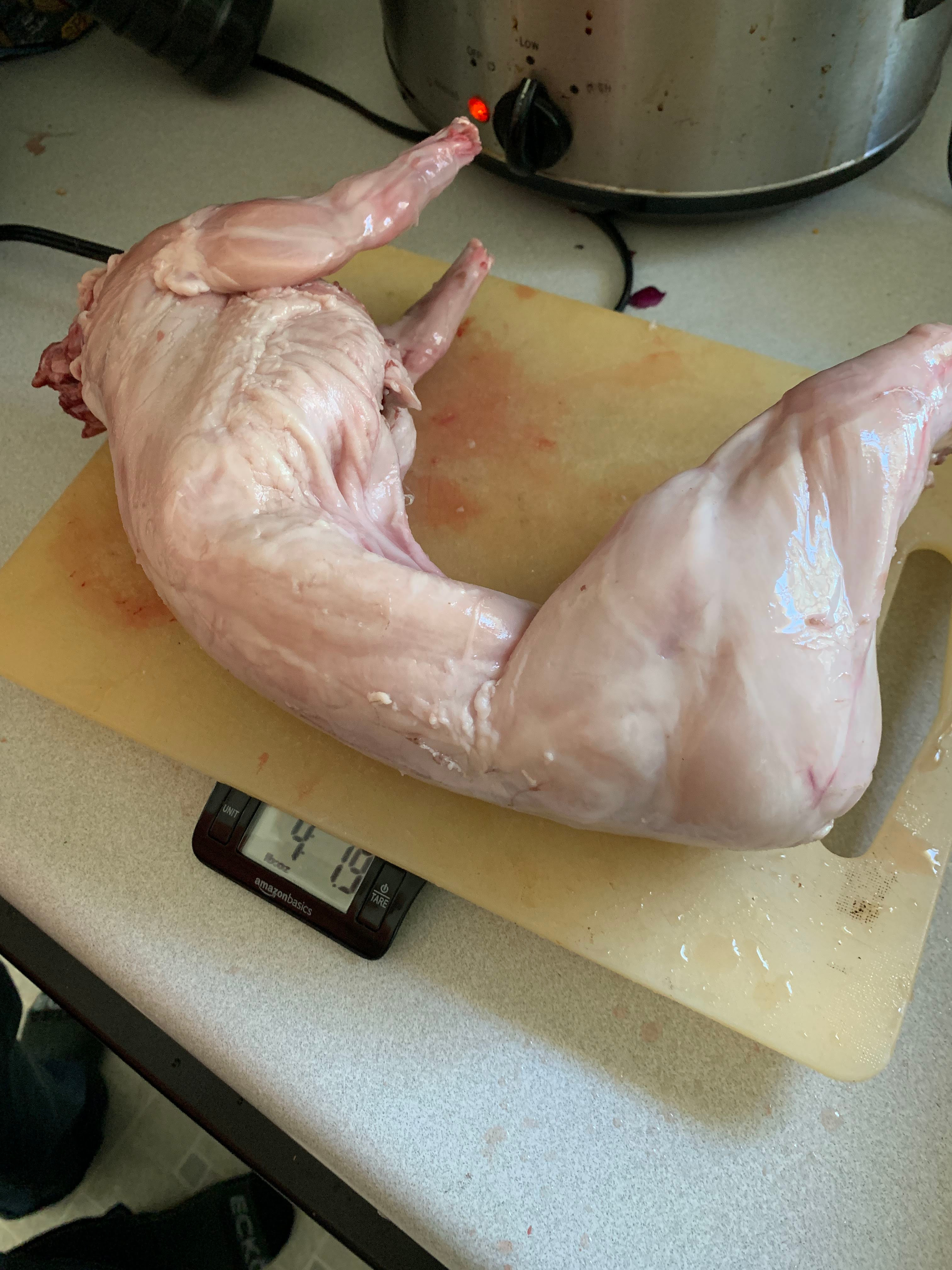rabbit processing